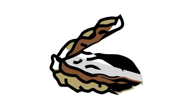 oyster opened shell color icon animation