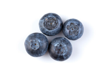 Blueberries on white background