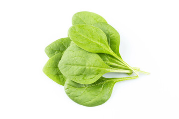 Green spinach on a white background