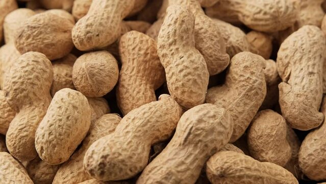 Peanuts in shell rotating. Pile of peanuts in shell roasted. Healthy nutrition concept. Close-up in 4K, UHD