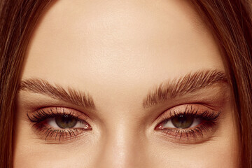 Close up of beautiful brown female eyes. Perfect trendy eyebrow. Concept of vision, contact lenses, trendy eyebrow makeup concept.