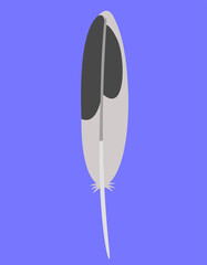 Seagull feather in flat style. Beautiful design element.