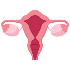 Vector female cartoon uterus icon isolated on white background. Woman reproductive system anatomy organ