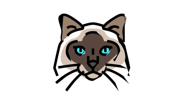 birman cat cute pet color icon animation
