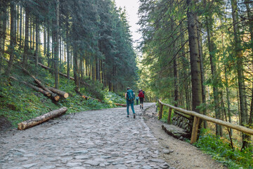 Fototapeta na wymiar Hike Group of people hiking forest trail in autumn nature going camping with backpacks. Woman and man walking uphill on mountain. 
