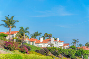 Fototapeta na wymiar Residential homes with orange bricks roofs and palm trees at South California
