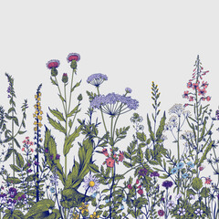 Vector seamless floral border. Herbs and wild flowers. Botanical Illustration engraving style. Colorful - 550828719