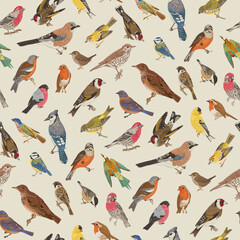 Birds. Seamless pattern. Vector vintage illustration. - 550828734