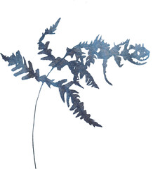 Watercolor winter illustration with dried frozen plant