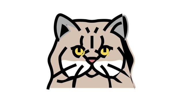 persian cat cute pet color icon animation