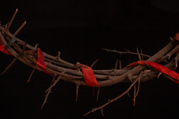 Crown of Thorns Red ribbon on black background