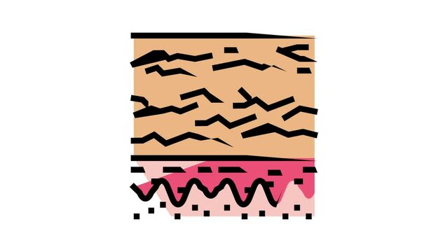 very dry skin color icon animation