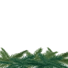 Christmas greenery, pile of green realistic branches at the bottom of canvas, isolated decoration object
