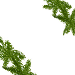 Green realistic branches in the corners of square canvas, Christmas December holiday isolated object for photo frame use