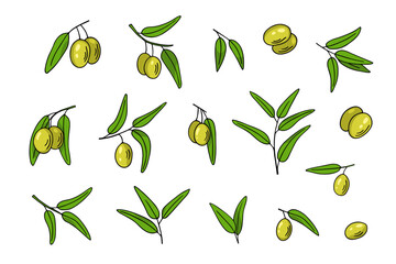 Olive branch set, hand-drawn doodle sketch. Twigs with leaves and fruits outline. Simple minimalistic design.Food menu or cosmetic concept decoration. Isolated. Vector illustration
