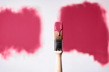 Process of choosing paint for the walls during house renovation, Viva Magenta, color of the year 2023, n the wall and on brush