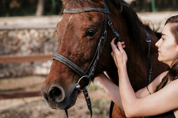 Fototapeta premium Rider girl putting the reins on her horse.