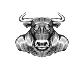 Buffalo Bull. Fashionable animal. Hand drawn Engraved old monochrome sketch. Vector illustration for t-shirt, tattoo or badge or print.