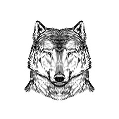 Wild wolf. Forest predator. Animal in vintage style. Retro vector illustration. Doodle style. Hand drawn engraved sketch