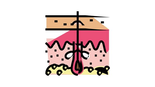 sebum skin production color icon animation