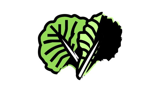 leaf cabbage color icon animation