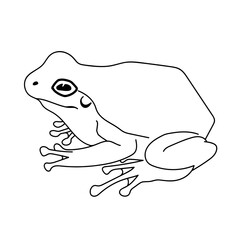 Frog silhouettes vector image