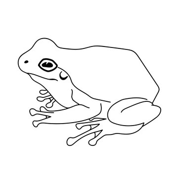 Frog silhouettes vector image