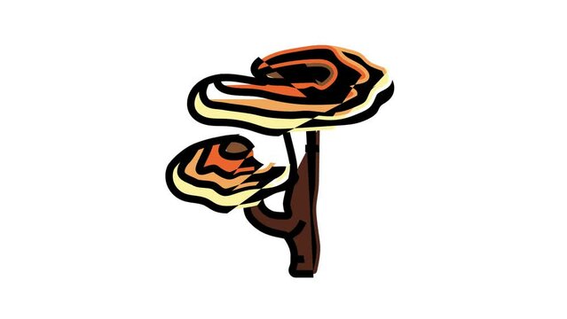 reishi mushroom color icon animation