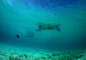 Fototapeta na wymiar Free diving off the coast of the Caribbean island of Curacao