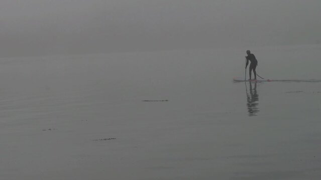 Une mouette qui s'envole et pratique du paddle dans la brume de mer en Bretagne