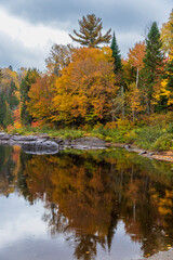 Fototapeta na wymiar Forest with fall colors at La Mauricie national park in Quebec. Canada.