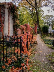 Autumnal melancholy, cemetery, Mehringdamm, Berlin Kreuzberg
