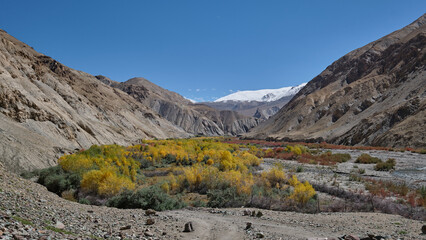 Snow-capped mountain in Markha valley, Ladakh