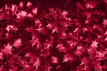 Blurred background. Trendy color 2023. Viva magenta color background.