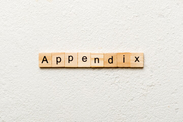 appendix word written on wood block. appendix text on table, concept - obrazy, fototapety, plakaty