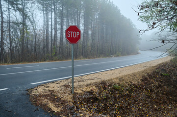 Road sign stop at the forest road in the fog