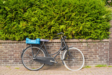 Fototapeta premium bicycle in the street of Amsterdam