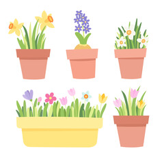 Spring flowers in pot collection. Floral box. Vector illustration in flat style.
