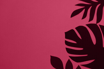 Background with tropical paper palm leaves.