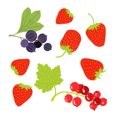 Summer berries set. Strawberry, red currant, black currant. Vector flat illustration. 