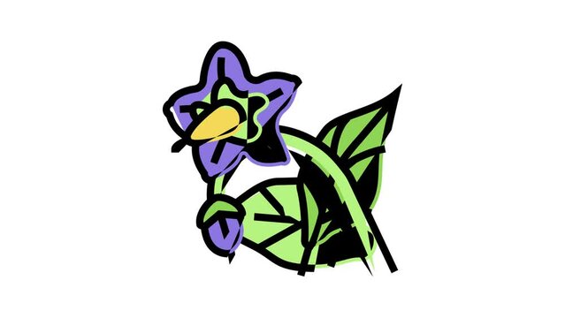 eggplant flower color icon animation