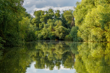 Fototapeta na wymiar The swamps of the Danube Delta in Romania