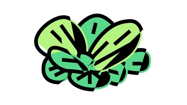 water lettuce color icon animation