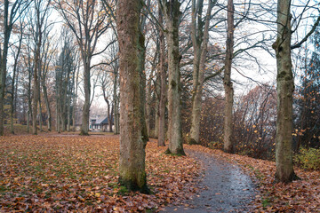 Schlosspark Marburg Nebel