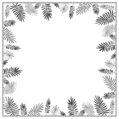 Fototapeta na wymiar Palm tree graphic border frame on white background