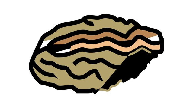 oyster closed shell color icon animation