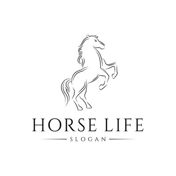 luxury horse logo with line art and business style