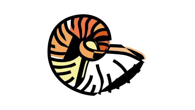 nautilus sea shell beach color icon animation