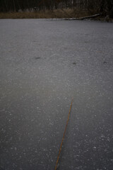 Fototapeta premium Frozen pond at Steege hill Nature Preserve