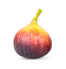 Fresh figs isolated on  transparent png